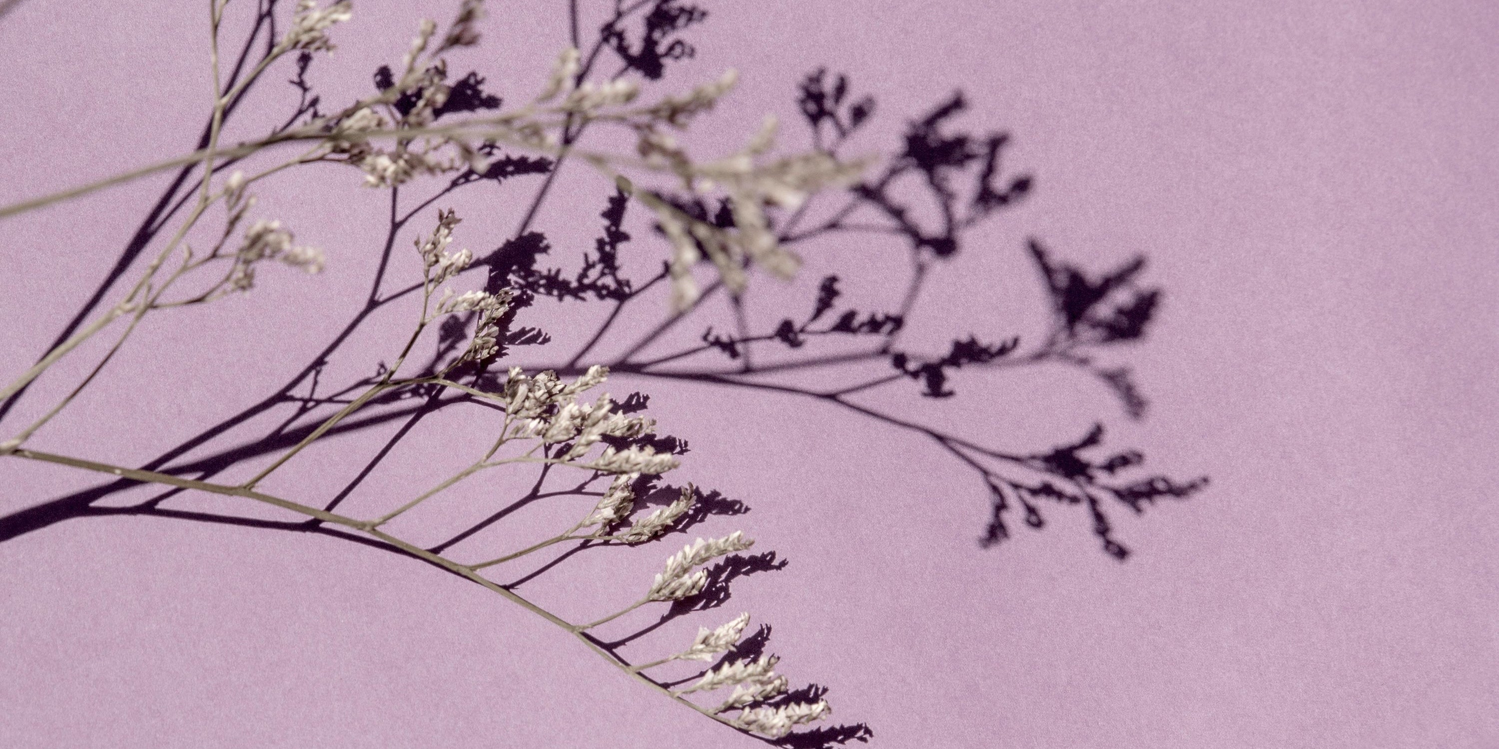 The Science of Scent and Sleep