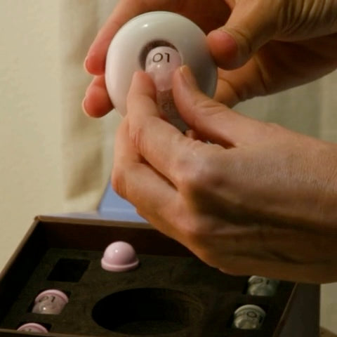 INSERT A SCENT CAPSULE